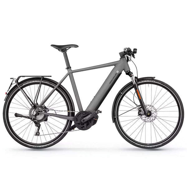 Bicicleta eléctrica Riese & Müller Roadster Touring
