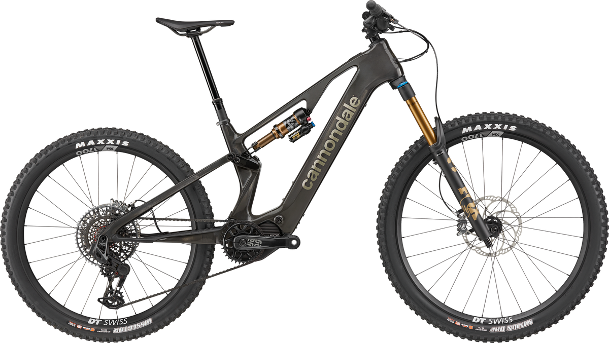 CANNONDALE MOTERRA SL 1 — Gris — Vista lateral