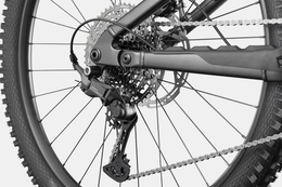 CANNONDALE MOTERRA 4 PLUS — Negro — Detalle