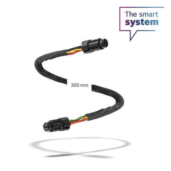 Cable de batería de 300 mm (BCH3910_300)