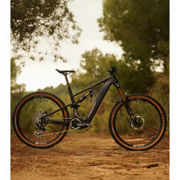 MEGAMO REACH FS 05 2026 · Gris · MG42005202C · B2B AUTH_B2B_COLOR_GROUP_232 · IMG 0aa9534c1fa5bc33
