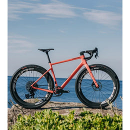 MEGAMO REACH FS 05 2026 · Gris · MG42005202C · B2B AUTH_B2B_COLOR_GROUP_232 · IMG ee52e37393fdf3f4