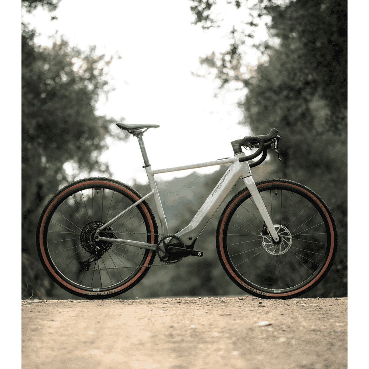 MEGAMO REACH FS 10 2026 · Gris · MG42010202C · B2B AUTH_B2B_COLOR_GROUP_232 · IMG f2542e799f95d2f7