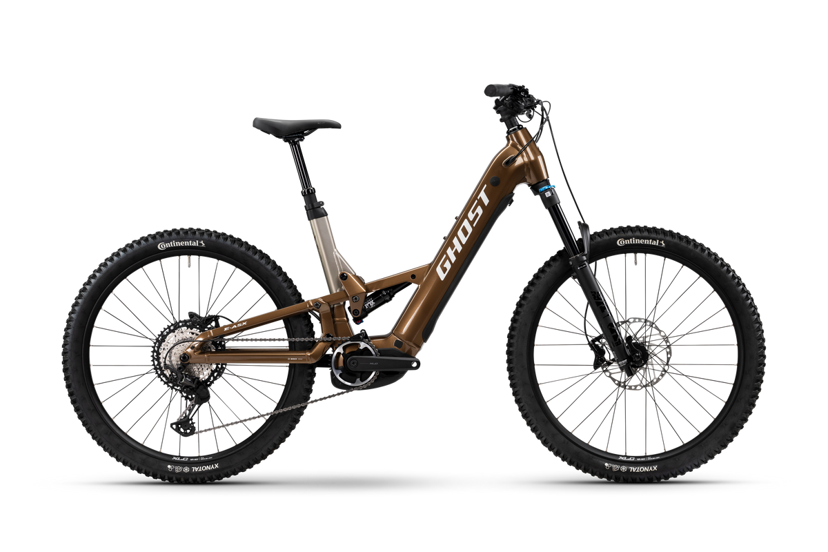 E-ASX ADVANCED LOW · brown bear/stone - glossy