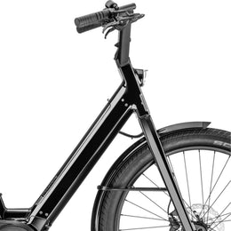 Color_Negro