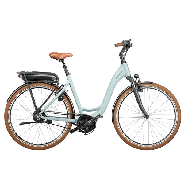 Bicicleta eléctrica Riese Müller Swing Vario Verde